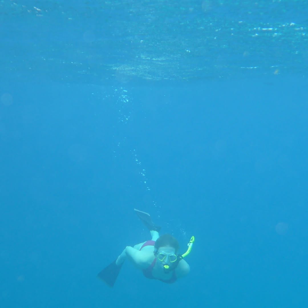 Schnorcheln nach geführtem Tauchgang